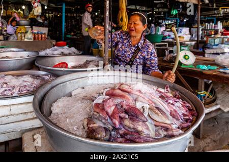 Meeresfrüchte oder Verkauf auf Dem Fischmarkt Psar Nath, Battambang, Kambodscha. Stockfoto