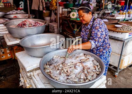 Meeresfrüchte Zum Verkauf Auf Dem Fischmarkt Psar Nath, Battambang, Kambodscha. Stockfoto