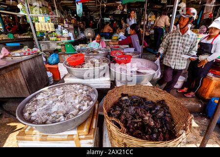 Meeresfrüchte Zum Verkauf Auf Dem Fischmarkt Psar Nath, Battambang, Kambodscha. Stockfoto