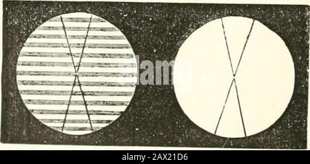 Traité d'Analyse chimique appliquée à la physiologie et à la pathologe; Guide pratique pour les Recherche cliniques . en préciser limage. La seconde lunette bpps sert à observator lindicateur i du disque k.Un bec de gaz, fixé latéralement, éclaire cette parte de lappareilet facilite les observations. Enfin le Support h est mobile dans lessens horizontal et Vertical, afin d amener (/ en regard de la lumièremonochromatique. Modus opératoire. - Pour faire une observation à laide de cet in-strument, on begin par digriger lextrémité du côté de la flammede gaz ou dalcool rendue monochromatique par Stockfoto
