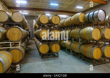 Weinfässer im modernen Weingut Stockfoto