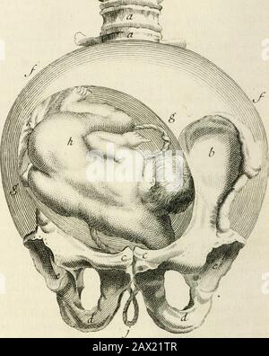 Beobachtungen importantes sur le manuel des accouchemens .. . ir:,. 7 Stockfoto