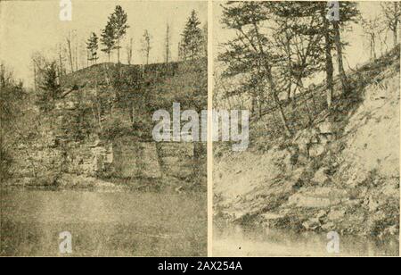 Gartenbau, ein Textbuch für Gymnasien und normale, einschließlich Pflanzenausbreitung; . Abb. 255.-Das Hausholz kann viele Maples mit Zucker und Sirup versorgen, und nicht verwendete Mengen werden Waldbäume anbauen (Abb. 256). Niedrig, Feuchtgebiete, die während der feuchten Jahreszeit überschwemmt wurden, können so gebildet werden, dass sie solche Bäume wachsen, die solche Bedingungen ertragen. Angedündete Hügelketten (Abb. 257), oder gullte Altfelder können gepflanzt werden, um Heuschrecken und andere Bäume zu Pflanzen, die dort vorblühen werden. Viele Hügelseiten und wertlose Länder wurden ohne Entschuldigung von Nativewoods befreit. Die Besitzerin raubte Natureof lediglich ihr Bauholz wo Stockfoto