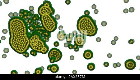 Mikroskopisches Leben, Virus, Algen, Zellen, Bakterien vermehren sich, produzieren wachsen und verbreiten. 3D-Rendering. Stockfoto