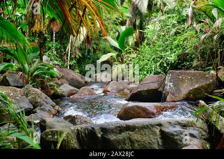 Bergbach, der auf Granitfelsen in der Nähe des Sauzier-Wasserfalls, Mahe Island, Seychelles verspritzt.Weitschuss. Stockfoto