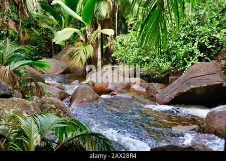 Der Gebirgsfluss, der auf Granitfelsen in der Nähe des Sauzier-Wasserfalls, Mahe Island, Seychellen, aufsplaßt. Stockfoto