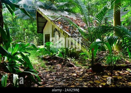 Mahe Island Seychellen - 10. November 2019: Altes Haus im Dschungel verlassen. Stockfoto