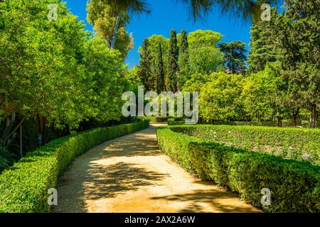 Der idyllische Garten in den königlichen Alcazaren von Sevilla, Andalusien, Spanien. Stockfoto