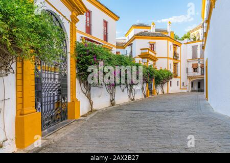 Malerische Anblick in der Plaza de Toros von Sevilla, Andalusien, Spanien. Stockfoto