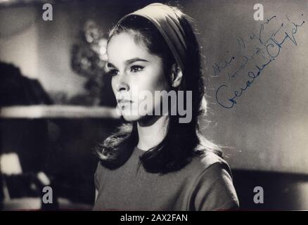 1966 Ca, GROSSBRITANNIEN: Die amerikanische Schauspielerin GERALDINE CHAPLIN (* 31. Juli 1944 in Santa Monica, Kalifornien, USA), Pubblicity still . Geraldine Chaplin, die Tochter von Charles Chaplin (alias Charlie Chaplin), besuchte die Royal Ballet Academy in London. Sie wurde von David Lean entdeckt, als sie in Paris tanzte, was zu ihrer Rolle in DER ÄRZTIN ZHIVAGO (* 1965 in Il dottor Zivago) führte. Sie hat zwei Kinder, Shane und Oona .- KINO - Film - Porträt - Ritratto - AUTOGRAFO - AUTOGRAPH - Firma - Signatur - -- Archivio GBB Stockfoto