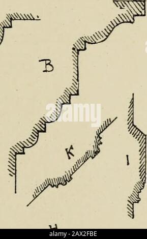 Transaktionen der Cumberland & Westmorland Antiquarian & Archaeological Society. C# D. 0 I 2,3 45S7 8^ 10 II IZ. 1 I I I I I! ? I I - I 1 IFICHFS C J. V- &LT;:. £?7- &lt;-11 i- Stockfoto