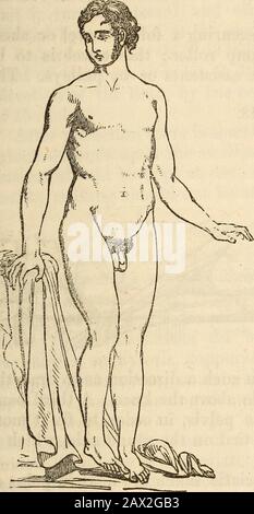 Ein Handbuch der Chirurgie: Mit fünfzig Abbildungen . VERORTUNG DES OBERSCHENKELS. 59 nach unten und nach unten, in das Foramen ovale (Abb. 15); 3d, nach hinten, in die ischiatische Kerbe (Abb. 16); 4., nach oben und nach unten, auf dem horizontalen Amoklauf der Pubes (Abb. 17); 5., nach unten, unter der Tuberosität des Ischiums. Die erste ist die fünfte Mostthe die seltenste. Häufig, Abb. 16. Abb. 17... Stockfoto