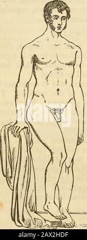Ein Handbuch der Chirurgie: Mit fünfzig Abbildungen . Die Reduktion erfolgt durch eine Verlängerung in einer gekrümmten Linie, mittels einer schmalen Binde oder eines Bandes, die von einem Nelkenhitch fest auf die Phalangealextremität aufgetragen wird. In einigen Fällen kann es notwendig sein, das laterale Ligament zu teilen. Ververlagerungen DES OBERSCHENKELS können in fünf Richtungen auftreten: - 1., nach oben und nach hinten, auf der Rückseite des Iliums (Abb. 14); 2d, in- Abb. 14. Abb. 15.. Stockfoto