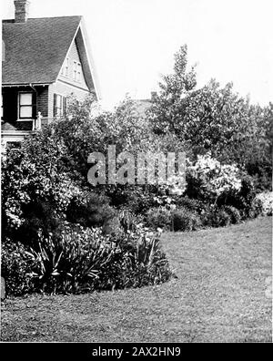 Amateurgardenkraft; ein Buch für den Hausmacher und Gartenliebhaber . ds, und säen den Samen, und halten die Wedsniederung. Diese Arbeit muss Jahr für Jahr erledigt werden. Bei den Hartpflanzen ist dies jedoch nicht der Fall. Ansehnliche Arbeit kann im ersten Jahr bei der Vorbereitung des Bodens und der Aufstellung der Pflanzen gefordert werden, aber der Großteil der geleisteten Arbeit kann danach mit der Hacke erledigt werden. Andit wird so wenig Zeit in Anspruch nehmen, um es zu tun, dass Sie sich wundern, wie Sie jemals gekommen sind, um zu denken, dass einjährige Theoniepflanzen für den Blumengarten geschäftiger Menschen sind.Dass dies ein großer Teil der Personen für istrue halten, aber es liegt daran, dass die Stockfoto