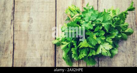 Frische hausgemachte Grüns aus dem Garten. Selektive konzentrieren. Natur. Stockfoto