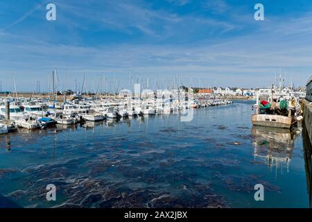 Der Fischereihafen von Grandcamp Maisy an den Stränden der Normandie in Frankreich Stockfoto