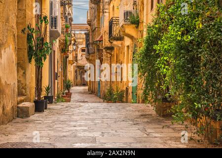 Valletta, Malta. Alte, mittelalterliche, leere Straße mit gelben Gebäuden und Blumentöpfen in Birgu Stockfoto