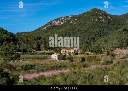 Finca Son Brondo, auf der Straße nach Valldemossa, Serra de Tramuntana, Mallorca, Spanien, Stockfoto