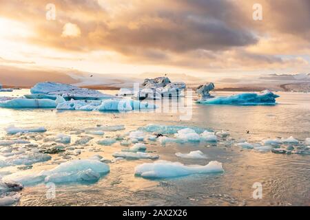 Eisberge in der Gletscherlagune Jokulsarlon See bei Sonnenuntergang. Große touristische Attraktion in Island Gold Circle. Stockfoto