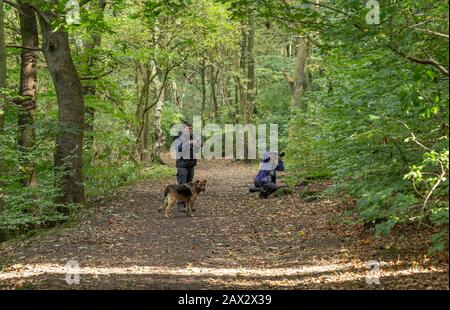 Ein Mann und eine Frau, die Fotos in West Wood, Calverley, Leeds, Yorkshire machen. Stockfoto