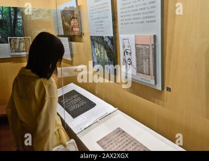 Chinesin besucht eine Kalligraphie Ausstellung. Wuhan Museum, China Stockfoto