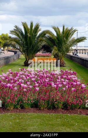 Blumengarten am Meer, Torquay, Devon, England Stockfoto