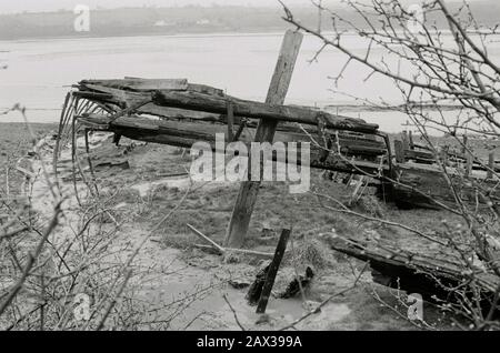 Purton Hulks, Überreste von Holzkähnen, die am Ufer des Flusses Severn Glos UK aufgegeben wurden. Verhindert Erosion der Bank in der Nähe des Schärfenkanals Stockfoto