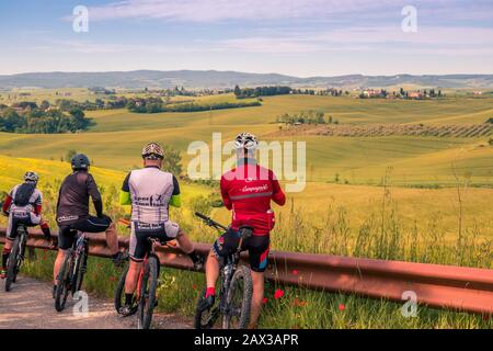 Radfahrer machen eine Pause mit Blick auf die sanften Hügel Mit Zypressen gesäumten Feldern und Weinbergen Toskana Landschaft auf der Via Francigena Trail Italien Stockfoto