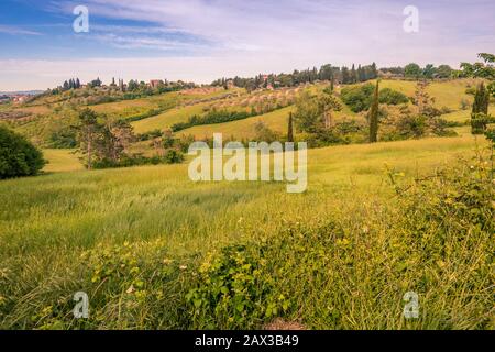 Szene der hügeligen Landschaft und Gebäude auf dem Hügel außerhalb Seinna Italien Stockfoto