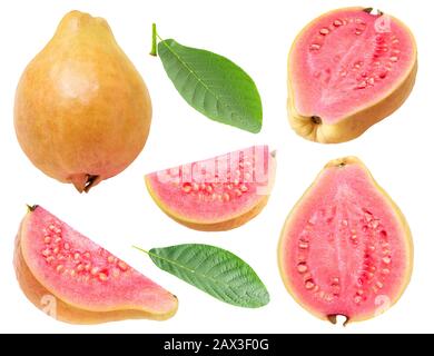 Isolierte Guava. Sammlung von gelb-pinkfarbenen, fleischigen Guava-Fruchtscheiben, isoliert auf weißem Hintergrund mit Beschneidungspfad Stockfoto