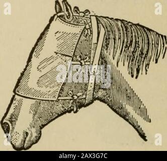 Lebendbestand: Eine Cyclopaedia für den Bauern und Bestandsbesitzer, einschließlich der Zucht, Pflege, Fütterung und Verwaltung von Pferden, Rindern, Schweinen, Schafen und Geflügel mit einer speziellen Abteilung für Dairying: Auch ein vollständiger Bestandsarzt: Mit eintausend Erklärungsgravuren. BANDAGEN FÜR DIE VORDERSEITE UND SIDESOF DEN HALS. DER AUGENVERBAND. Stockfoto