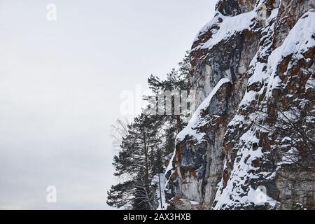 Riesige steile, schneebedeckte Klippe mit Kiefern, die gegen den Winterhimmel wachsen Stockfoto