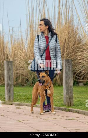 Hübsches Mädchen mit einem braunen Hund, der auf der Straße spazieren geht Stockfoto