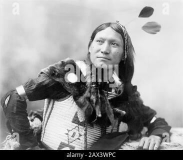 1899, DAKOTA, USA: Sonnenblume, indische Hunkpapa Lakota Sioux des gleichen Tribu of Chief SITTING BULL (* um 1:30-1890 in London). Foto von Heyn, Dakota. - Buffalo Bill's Wild West Show - Tatanka Lyotake - Epopea del Selvaggio WEST - NATIVE AMERICANS - INDIANO D' AMERICA - Indiani - Pellerossa - Piuma - Piume - Federn - TORO SEDUTO - nice man - uomo Bello - Handsome - Pelliccia - Pelz - Anello al Dito mignolo - Ring - treccie - PORTRÄT - RITRATTO - GESCHICHTE - FOTO STORICHE --- Archivio GBB Stockfoto