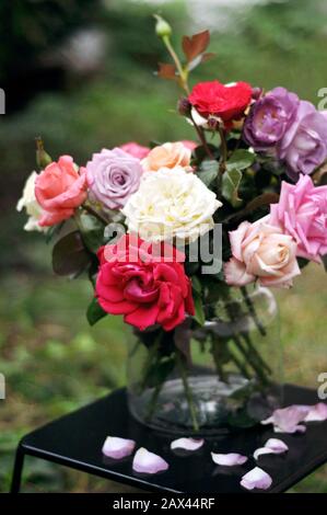 Blumenstrauß verschiedenfarbiger Rosen in einer Glasvase auf einem dunklen Tisch mit gestürzten Kronblättern. Muttertag, Valentinstag, Internationale Frauen Stockfoto