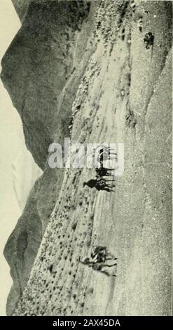 Über Südamerika; ein Bericht über eine Reise von Buenos Aires nach Lima über Potosí, mit Notizen über Brasilien, Argentinien, Bolivien, Chile und Peru. Das Proprietorkonto würde den gesamten Verkehr tragen, und es erwies sich, dass dies der Fall war. Tatsächlich hatten wir einen sehr unangenehmen Streit mit dem Landratsamt beim nächsten Morn. Fermin erklärte empört, sie habe die üblichen Preise dreifach angegeben. Bei Caisa zweigte die Straße von Argentinien nach Sucrezweigen nach rechts ab und ging nach Norden über Punaand Thence nach Yotala, wo sie sich der Straße fromPotosi nach Sucre anschließt. Nachdem wir Caisa am 22. November verlassen hatten, gingen wir nach Nordwesten und hatten bald o Stockfoto