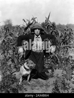 1924 Ca, USA: Der amerikanische Stummfilmschauspieler und Regisseur BUSTER KEATON (* ca. In seiner Nähe sein Hund - STUMMFILM - KINO MUTO - Porträt - Ritratto - regista cinematografico - attore - comico - COMICO - ANNI VERS - 20 - hat - cappello - paglia - Campo di mais - SPAVENTAPASSERI - Spaventa passeri - Feld - Land - Campagna - Zuckerrohr - Kragen - colletto --- ARCHIVIO GBB Stockfoto