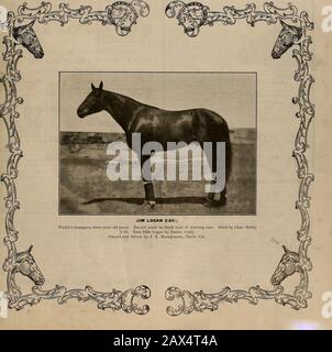 Züchter und Sportler . VOLUMEN LV. Nr. 7. SAN FRANCISCO, SAMSTAG, 21. AUGUST 1909. Abonnement: 3,00 Usd Pro Jahr. Der ZÜCHTER UND SPORTLER [Samstag, 21. August 1909. Versichern Sie Sich, Dass Ihr Live-Lagerbestand AN DIANA UND OHM liegt Stockfoto