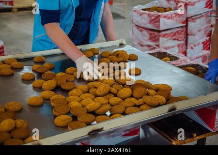 Süßwarenarbeiter sortieren und verpacken Haferkekse auf Edelstahltisch. Stockfoto