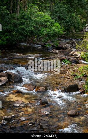 Schnell fließendes Wasser über Felsen an der Tully River Gorge North Queensland Stockfoto