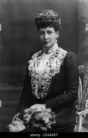 Um das Jahr : Die fürstin Alexandra von Dänemark (* 1844 in England; † 1925 in London), zukünftige Königin von England, Ehefrau von König Edward VII (* zwischen 1848 und 1910 in England; † 1901 in London), Sohn von Königin Victoria - REALI - KÖNIGTUM - nobili - nobiltà - Adel - regina - Inghilterra - Grand Bretagna - Großbritannien - Anello - Ring - Zignon - Rohrschinese da salotto - Hund - Colletto - Kragen - pizzo - Spitze - Ricamo - Ricami - Stickereien - Nadelarbeit - Stickereien - BELLE EPOQUE - pekinese - Porträt - Ritratto - Archivio GBB Stockfoto