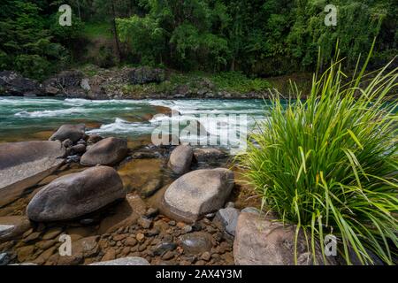 Rapids an der Tully River Gorge, North Queensland Stockfoto