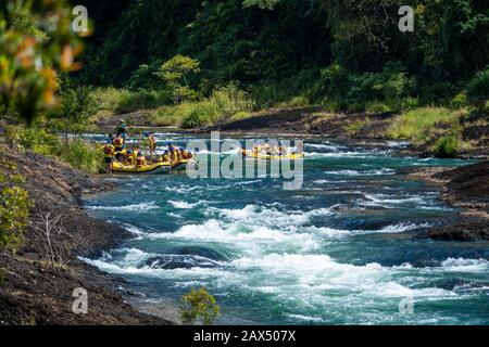 Gruppe von Wassersparren, die über Stromschnellen in der Tully Gorge, North Queensland, paddeln Stockfoto