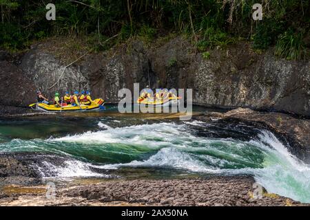 Eine Gruppe weißer Wassersparren, die sich darauf vorbereiten, über den Wasserfall am Cardstone Weir in der Tully Gorge, North Queensland, hinabzusteigen Stockfoto