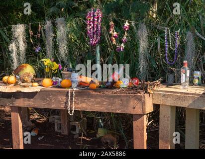 Haleiwa, HI - 24. Januar 2020: Geschenke und Angebote auf einem Altar an Der Historischen Stätte Pu'u O Mahuka Heiau Stockfoto