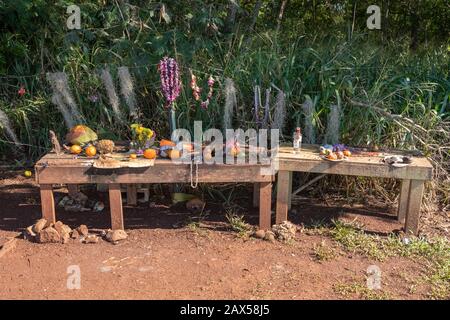 Haleiwa, HI - 24. Januar 2020: Geschenke und Angebote auf einem Altar an Der Historischen Stätte Pu'u O Mahuka Heiau Stockfoto