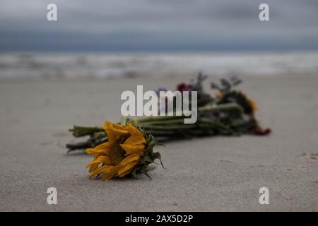 Verworfene Blumen am Strand lagen dort anfällig, wenn die Wellen hereinkommen. Stockfoto