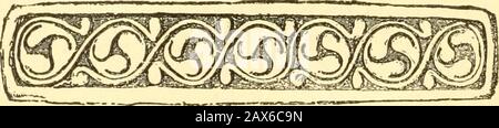 Irlands Dornenkrone und Rosen, oder, Das Beste ihrer Geschichte von den besten ihrer Autoren, eine Reihe historischer Erzählungen, die so unterhaltsam wie ein Roman lesen .. . durch einen auffälligen Vorfall. Wie zögerig, blasser, panting und immer noch unter der Begeisterung der großen Aufnahme, die er von den Massen draußen, der Vollliberalen Partei, erhalten hatte (mit vier Ausnahmen) Und alle irischen Mem-ber sprangen zu ihren Füßen und jubelten ihn begeistert.Die vier Ausnahmen von diesem allgemeinen Zeichen der Ehrfurcht waren die vier Dissentientenführer. Lord Hartington, Sir Henry James, Sir George Trevelyan und Stockfoto