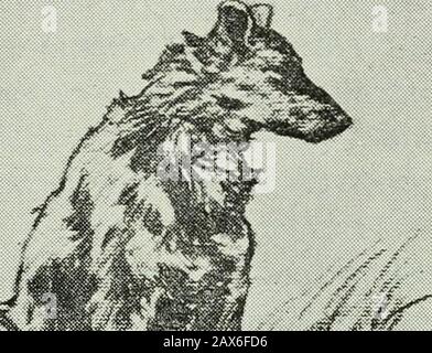 Maria Chapdelaine: Récit du Canada français. De gi-ande sagesse. Il fumait et causait avec les hommes maarte-nant, de par ses quatorze ans, ses largesépaules et sa connaissance des choses de laterre. tôt il avait commencé àsoigner les animaux et à rentrer chaque jourdans la maison sur son petit traîneau la pro Vision de bois nécessaire. UN peu plus tard ilavait appris à crier très fort : Heulle!Heulle! derrière les vaches aux croupes Mai-gres, et: Hue! Dia! ET Harrié! derrière leschevaux au Labour, à tenir la fourche à foinet à bâtir les clôtures de pieux. Depuis deuxans déjà Stockfoto