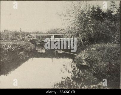 Inmitten der Laurentinischen Inseln, als Führer der Shawinigan Falls und mit Punkten auf der Great Northern Railway von CanadaBy N.MHinshelwoodIllustrated aus den eigenen Pholographen des Autors, mit wenigen Ausnahmen. Stockfoto